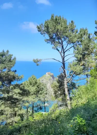 gaztelugatxe-widoczne-miedzy-drzewami